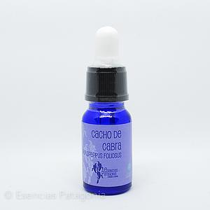 Cacho de Cabra - Stock Bottle 10 ml.