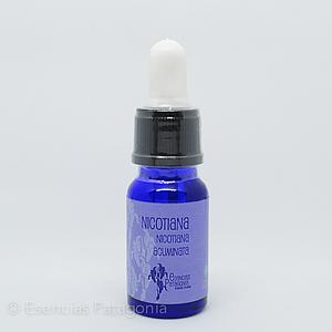 Nicotiana - Stock Bottle 10 ml.