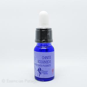 Chinita Acoginada - Stock Bottle 10 ml.