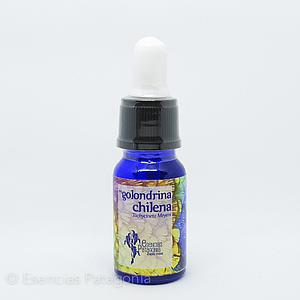 Golondrina Chilena - Stock Bottle 10 ml.