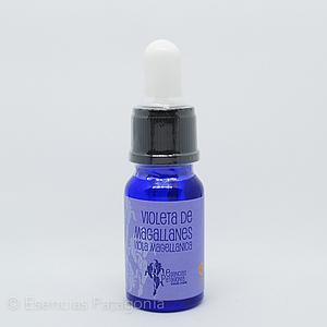 Violeta de Magallanes - Stock Bottle 10 ml.