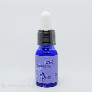 Lenga - Stock Bottle 10 ml.