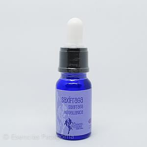 Saxífraga - Stock Bottle 10 ml.