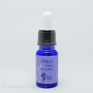 Prímula - Stock Bottle 10 ml.
