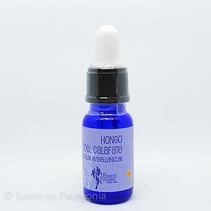 Hongo del Calafate - Stock Bottle 10 ml.