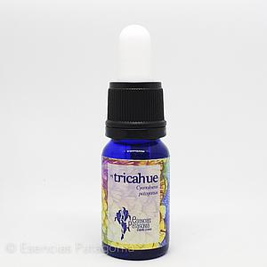 Tricahue - Stock Bottle 10 ml.