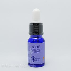 Coigüe - Stock Bottle 10 ml.