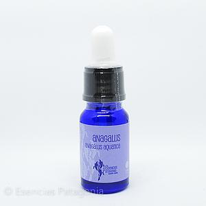 Anagallis - Stock Bottle 10 ml.