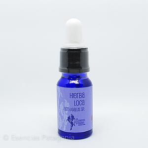 Hierba Loca - Stock Bottle 10 ml.