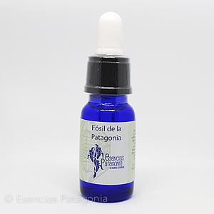 Fósil de la Patagonia - Stock Bottle 10 ml.