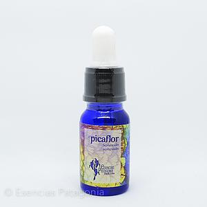 Picaflor - Stock Bottle 10 ml.