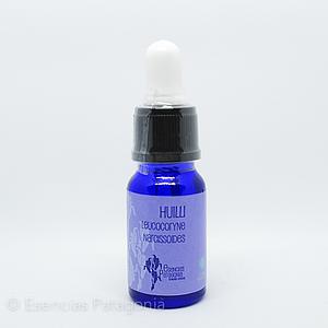 Huilli - Stock Bottle 10 ml.