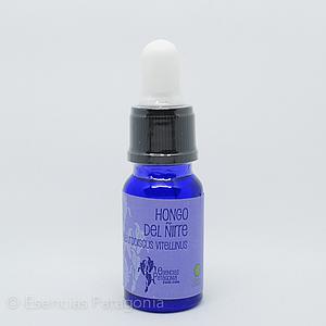 Hongo del Ñirre - Stock Bottle 10 ml.