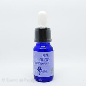 Laurel Chileno - Stock Bottle 10 ml.