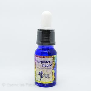 Carpintero Negro - Stock Bottle 10 ml.