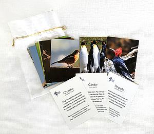 Cartas Esencias de Aves
