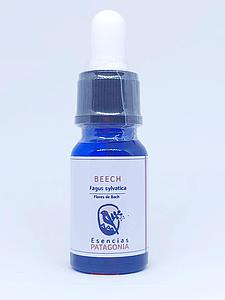 Beech - Flores de Bach 10ml