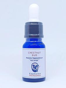Chestnut Bud- Flores de Bach10ml