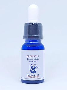 Clematis- Flores de Bach 10ml