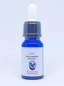 Elm - Flores de Bach 10ml