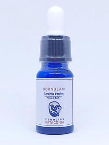 Hornbeam Bach-Patagonia 10ml