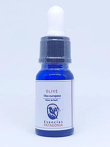 Olive - Flores de Bach 10ml