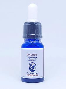 Walnut - Flores de Bach 10ml