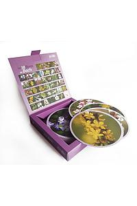 Cartas Bach Gaia Esencias