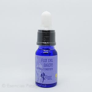 Flor del Bigote - Stock Bottle 10 ml.