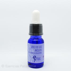 Lirio de los Molles - Stock Bottle 10 ml.