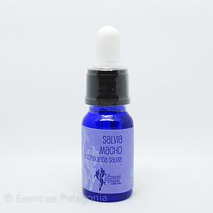 Salvia Macho - Stock Bottle 10 ml.