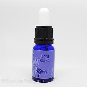 Phyla - Stock Bottle 10 ml.