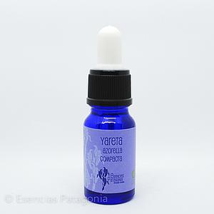 Yareta - Stock Bottle 10 ml.