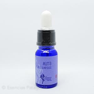 Murra - Stock Bottle 10 ml.