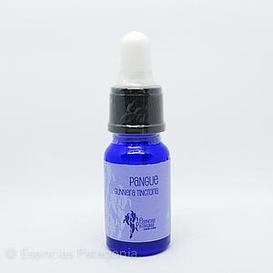 Pangue - Stock Bottle 10 ml.