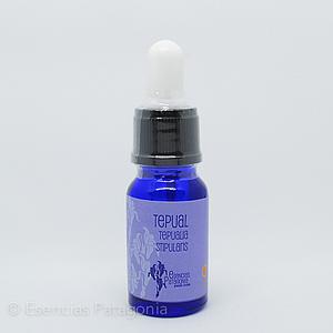 Tepual - Stock Bottle 10 ml.