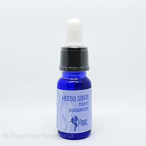 Hierba Santa - Stock Bottle 10 ml.