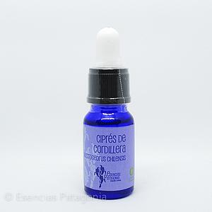 Ciprés de Cordillera - Stock Bottle 10 ml.