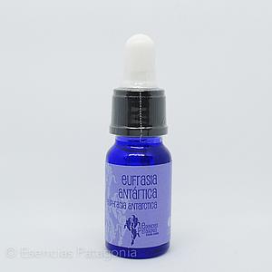 Eufrasia Antártica - Stock Bottle 10 ml.