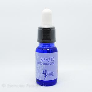 Blanquita - Stock Bottle 10 ml.