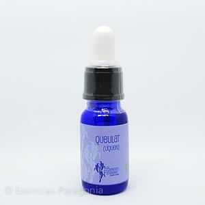 Queulat - Stock Bottle 10 ml.