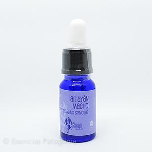 Arrayán Macho - Stock Bottle 10 ml.